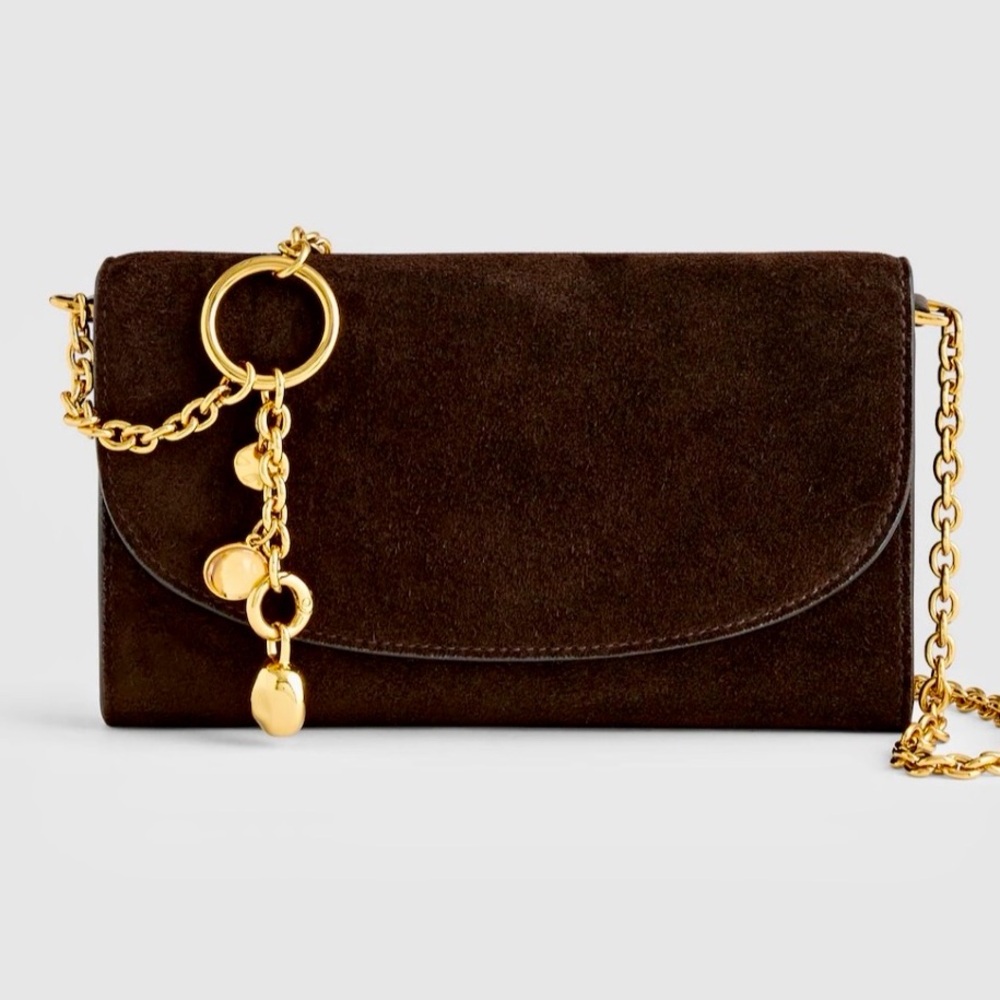 NWOT Madewell wallet on a chain